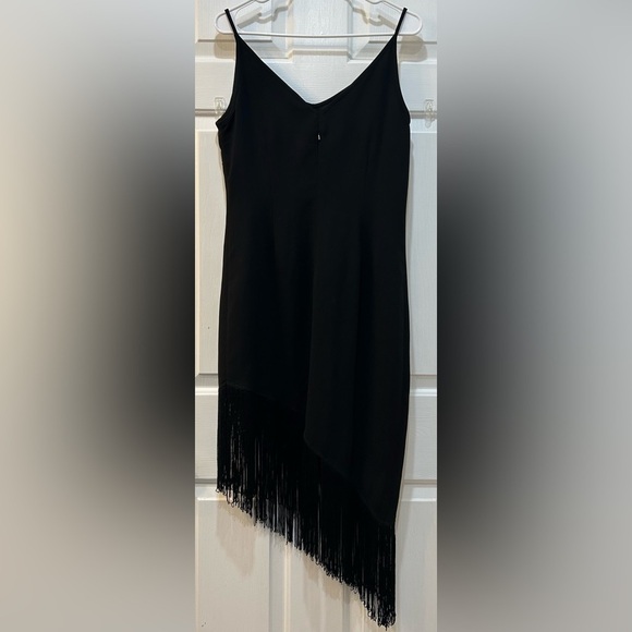NWT Black Flapper Style Dress Sz 10 Fringe Hem Embroidered Floral Holiday Party - Picture 2 of 10